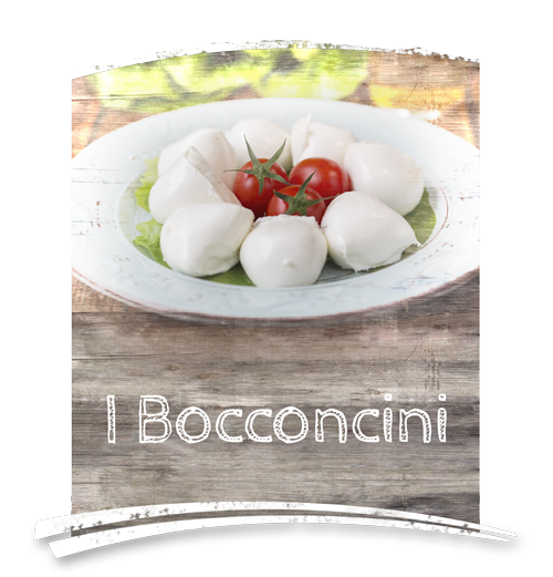 02-I-BOCCONCINI—CASEIFICIO-PODERE-SAN-VINCENZO